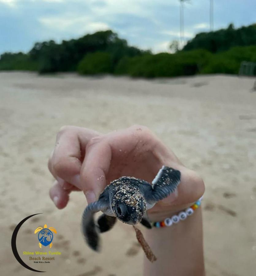 Shine Wave Turtle Beach Тангале Екстериор снимка